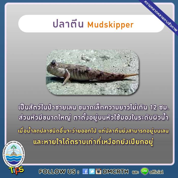 เกร็ดความรู้ ทช.