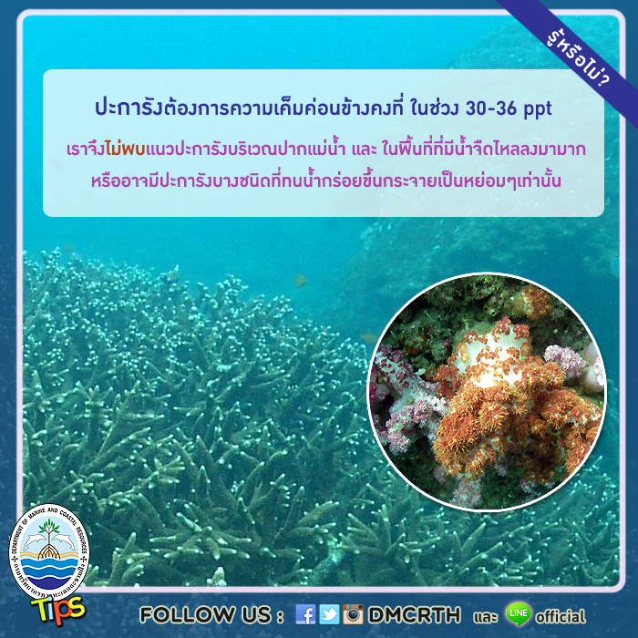 เกร็ดความรู้ ทช.
