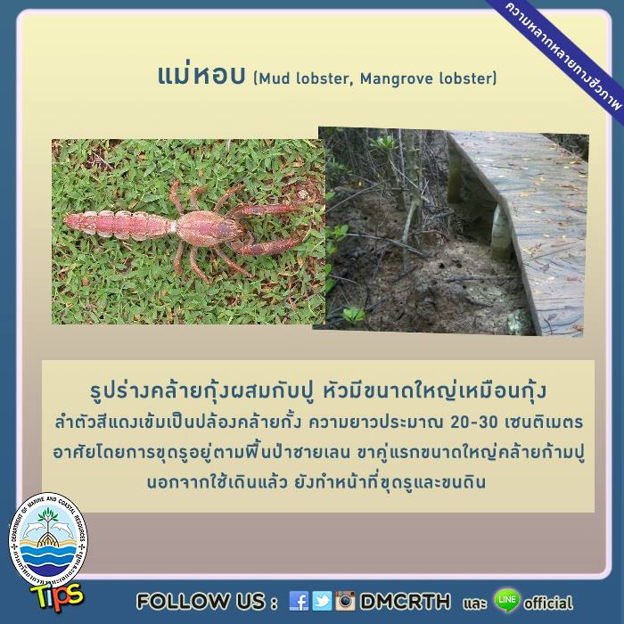 เกร็ดความรู้ ทช.