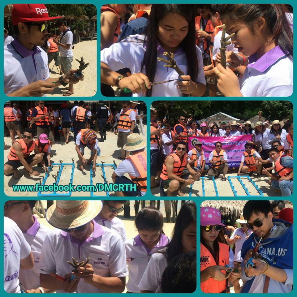 ทช. ร่วม ม.ราชภัฏมหาสารคาม ปลูกปะการัง เกาะเสม็ด