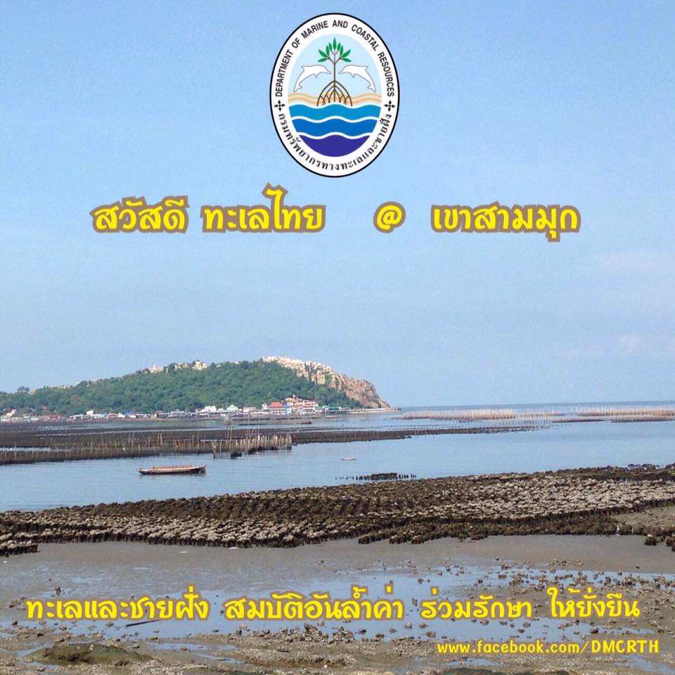 สวัสดี พี่น้องเครือข่ายรักษ์ทะเลไทย