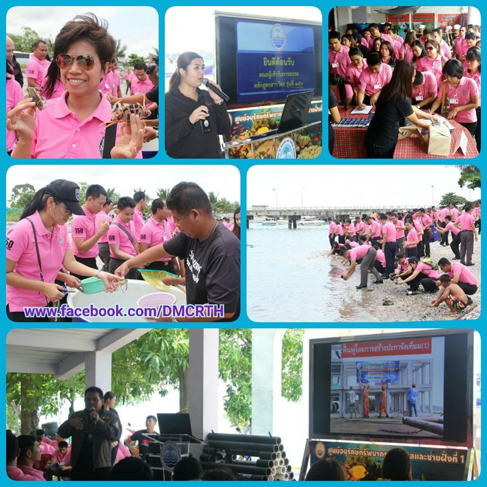 กิจกรรมฟื้นฟูปูทะเล ปล่อยแม่พันธุ์คืนสู่ธรรมชาติ