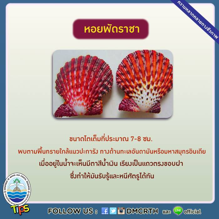 เกร็ดความรู้ ทช.