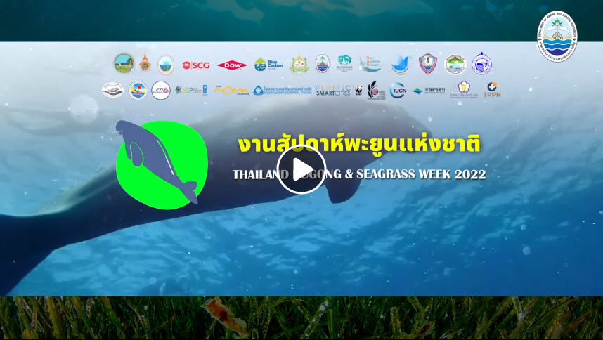 งานสัปดาห์พะยูนแห่งชาติ (Thailand Dugong & Seagrass 2022)