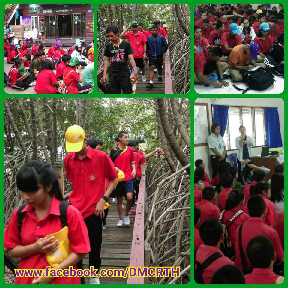 ทช. นำน้องๆรร.เบญจมินทร์ เรียนรู้ระบบนิเวศป่าชายเลน