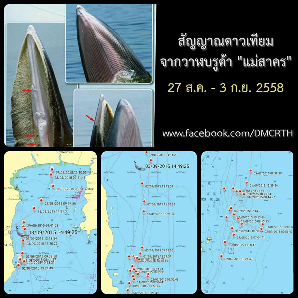 บันทึกการเดินทางของแม่สาคร วันนี้แวะเที่ยวอยู่หัวหิน