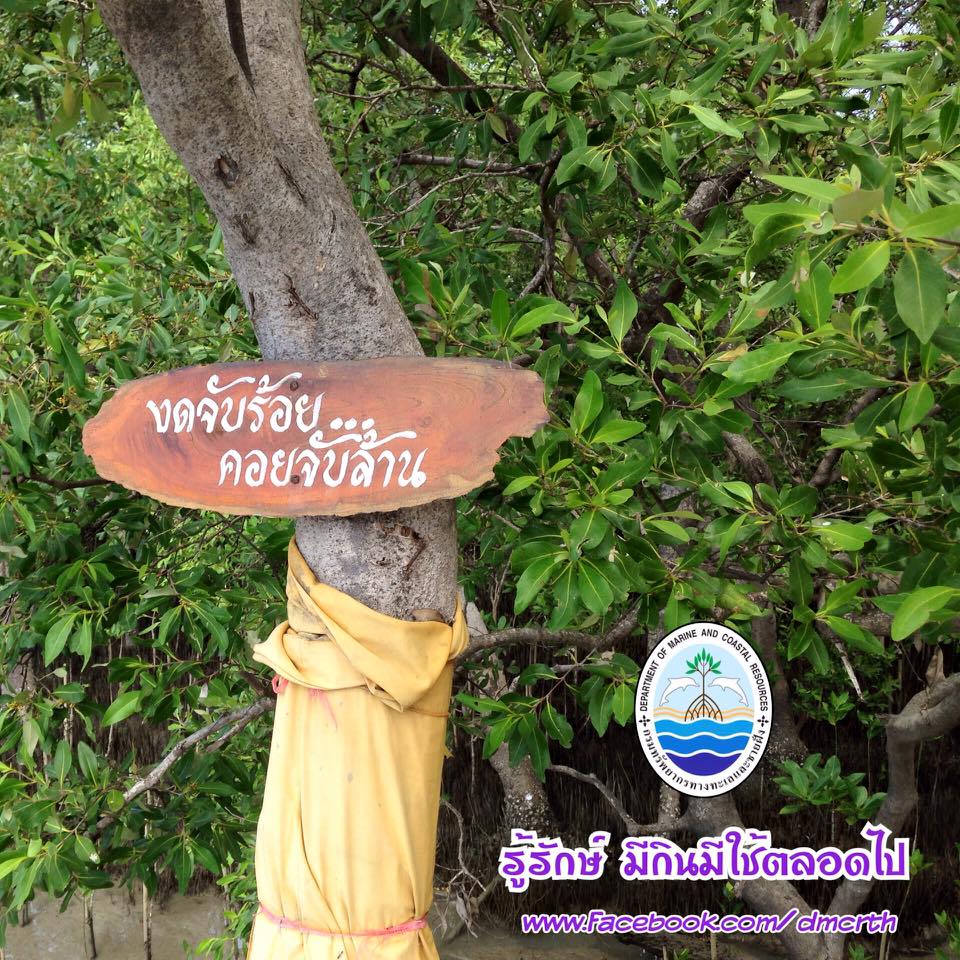 สวัสดี พี่น้องเครือข่ายรักษ์ทะเลไทย
