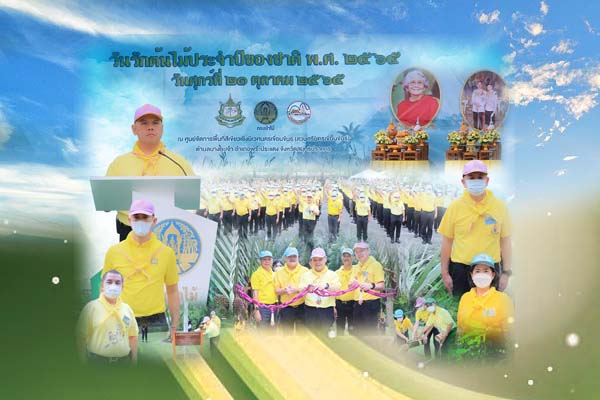 กรม ทช. ร่วมงานวันรักต้นไม้ประจำปีของชาติ พ.ศ. 2565 ณ ตำบลบางกระเจ้า จังหวัดสมุทรปราการ