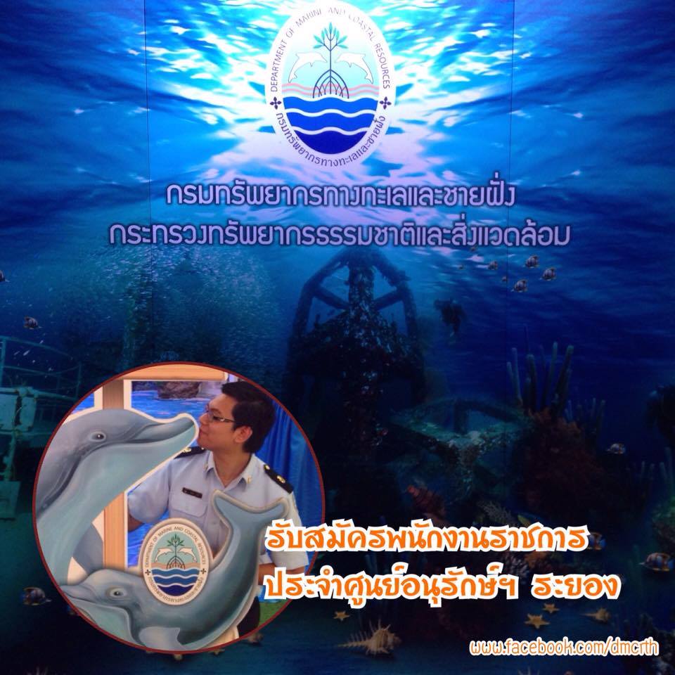 กรม ทช. ประกาศรับสมัครพนักงานราชการ