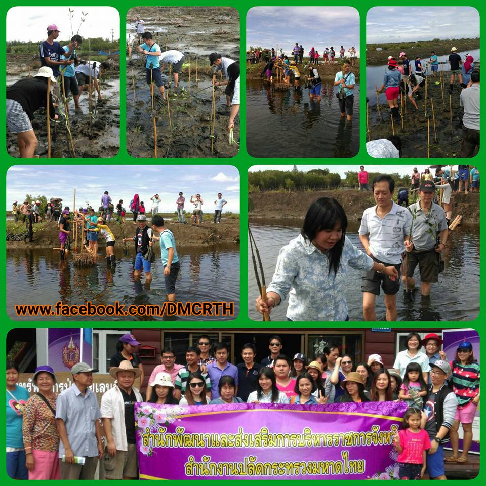 ทช. นำบุคลากรสำนักพัฒนาและส่งเสริมการบริหารราชการ ปลูกป่าชายเลน