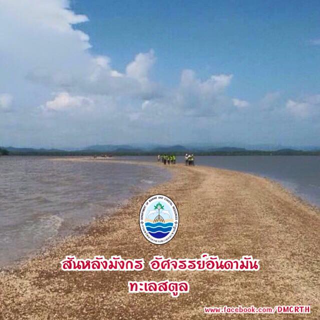 สวัสดี พี่น้องเครือข่ายรักษ์ทะเลไทย