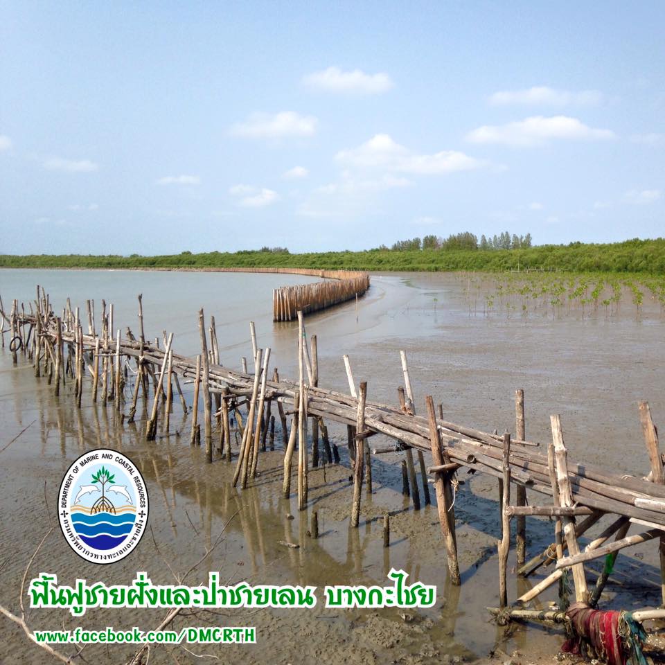 สวัสดี พี่น้องเครือข่ายรักษ์ทะเลไทย