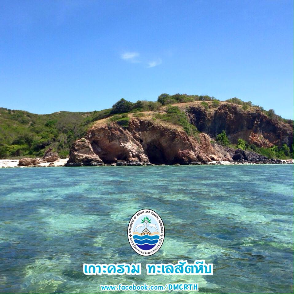 สวัสดี พี่น้องเครือข่ายรักษ์ทะเลไทย