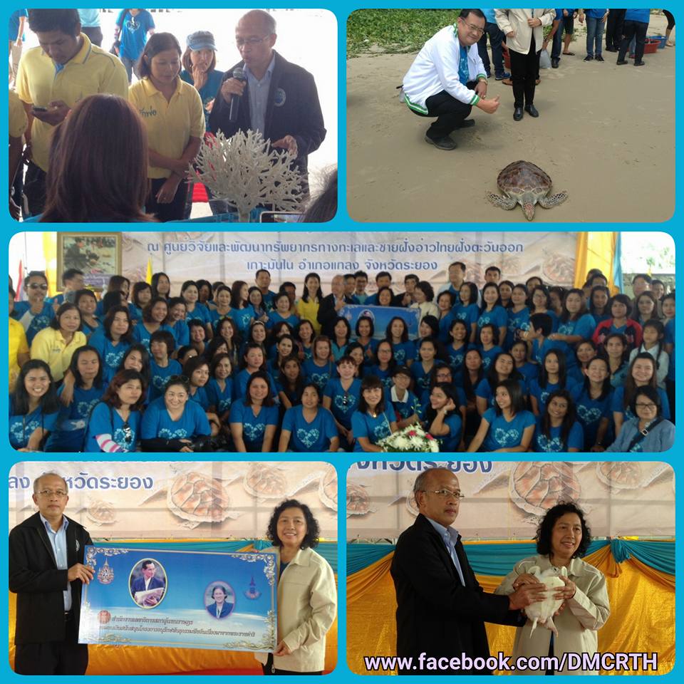 ทช. ร่วมสำนักงานเลขาธิการสภาผู้แทนราษฎร ปล่อยเต่าทะเลเฉลิมพระเกียรติ