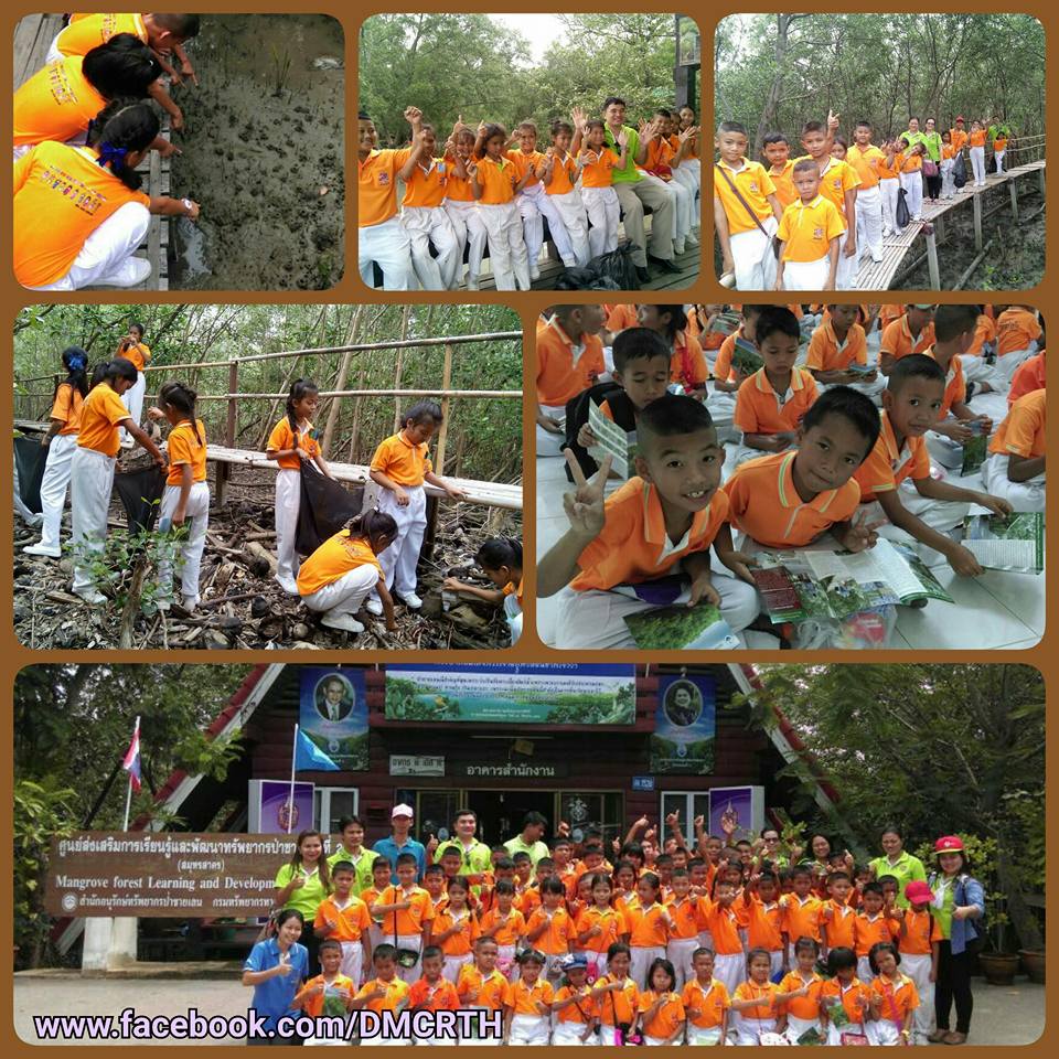 ทช.นำคณะครู-นักเรียน ร่วมเก็บขยะฟื้นฟูป่าชายเลน สมุทรสาคร
