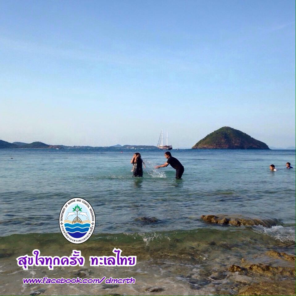 สวัสดี พี่น้องเครือข่ายรักษ์ทะเลไทย