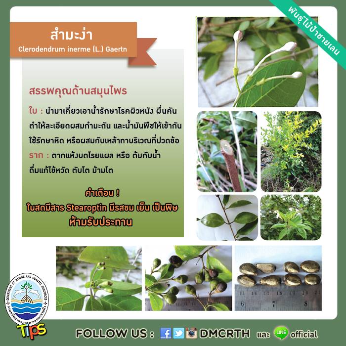 เกร็ดความรู้ ทช.
