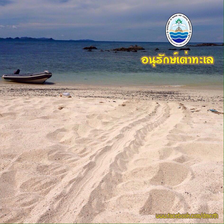 สวัสดี พี่น้องเครือข่ายรักษ์ทะเลไทย