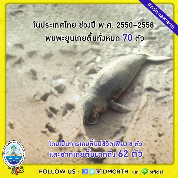 เกร็ดความรู้ ทช.