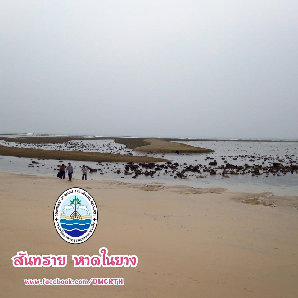 สวัสดี พี่น้องเครือข่ายรักษ์ทะเลไทย