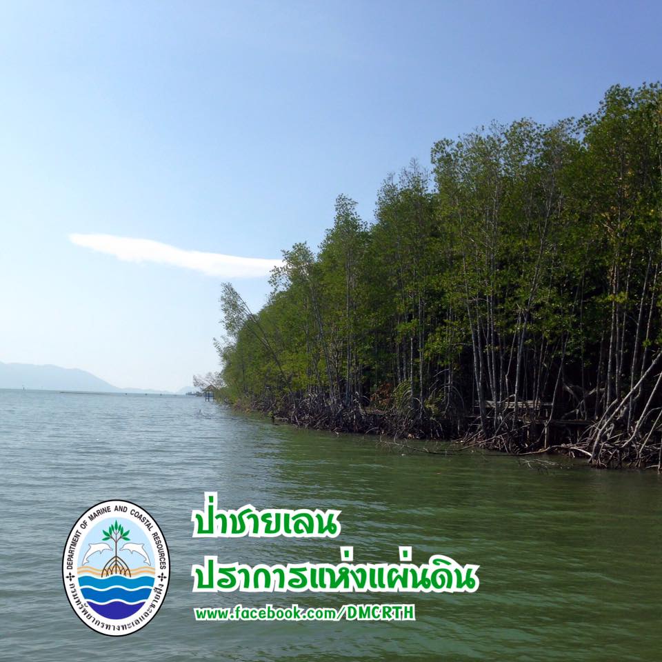 สวัสดี พี่น้องเครือข่ายรักษ์ทะเลไทย