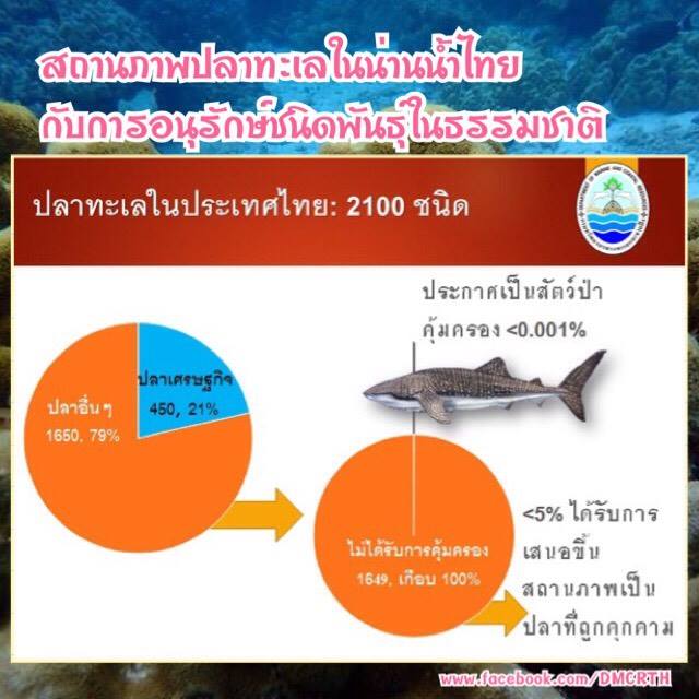 การคุ้มครองชนิดพันธุ์ปลาทะเลของไทย