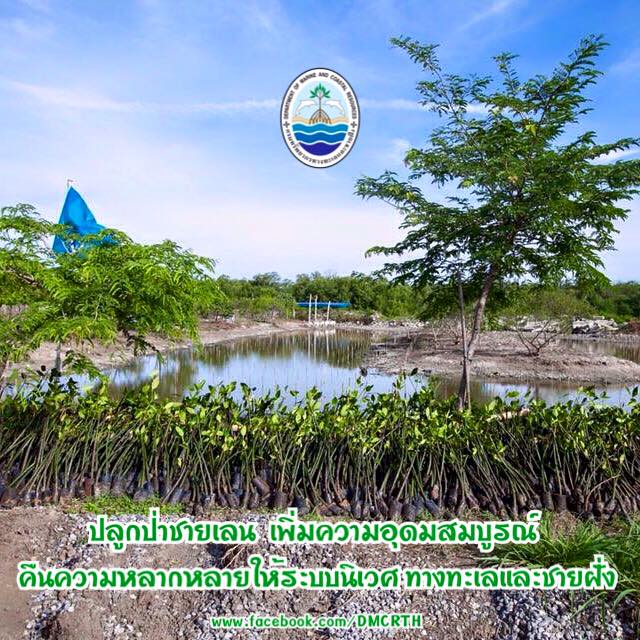 สวัสดี พี่น้องเครือข่ายรักษ์ทะเลไทย