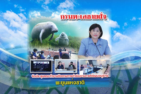 กรมทะเลชายฝั่ง จัดประชุมคณะทำงานติดตามการดำเนินงานภายใต้แผนอนุรักษ์พะยูนแห่งชาติ