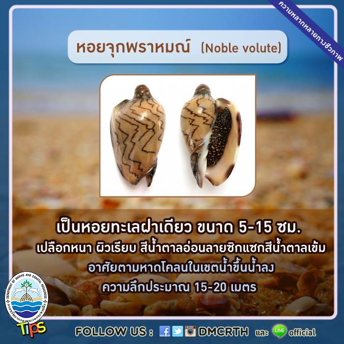 เกร็ดความรู้ ทช.