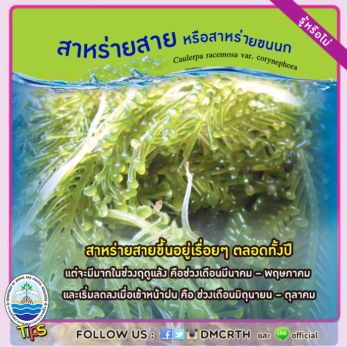 เกร็ดความรู้ ทช.