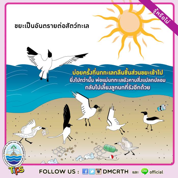 เกร็ดความรู้ ทช.