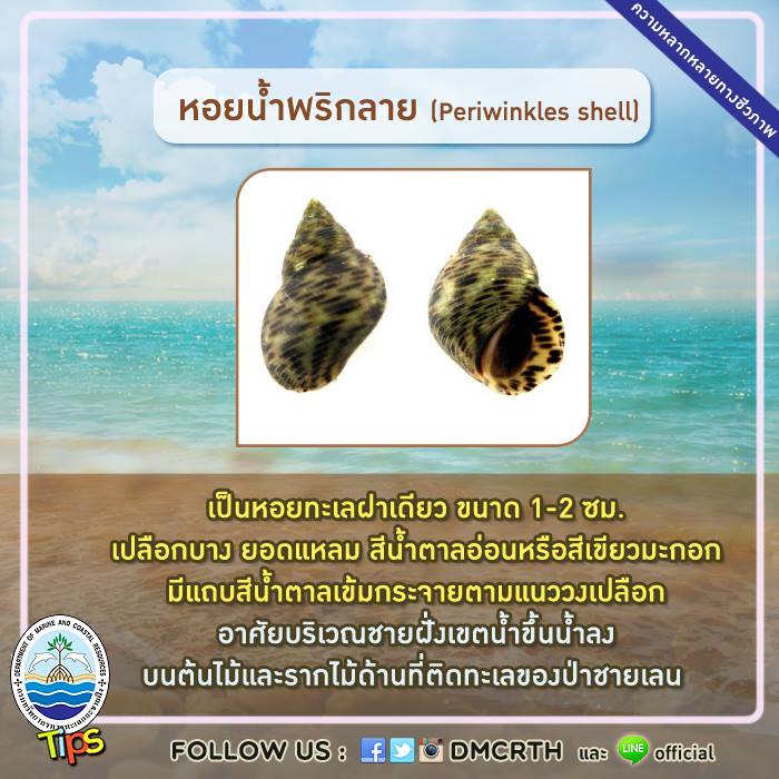 เกร็ดความรู้ ทช.