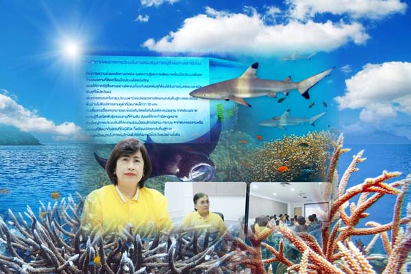 ทช. จัดประชุมหารือการยื่นข้อเสนอแนะด้านนโยบายฯ เสริมสร้างศักยภาพในการอนุรักษ์ปลาฉลามและปลากระเบนในประเทศไทย