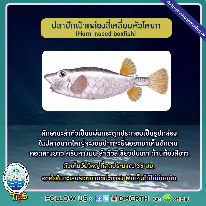 เกร็ดความรู้ ทช.
