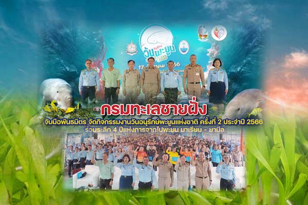 กรมทะเลชายฝั่ง จับมือพันธมิตร จัดกิจกรรมงานวันอนุรักษ์พะยูนแห่งชาติ ครั้งที่ 2 ประจำปี 2566 ร่วมระลึก 4 ปีแห่งการจากไปพะยูน มาเรียม - ยามีล