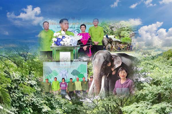 รองอธิบดี พรศรี ร่วมงาน "พิธีฮ้องขวัญ พลายศักดิ์สุรินทร์"