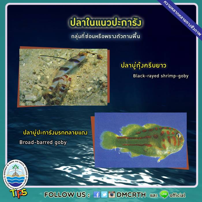 เกร็ดความรู้ ทช.