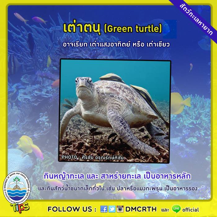 เกร็ดความรู้ ทช.