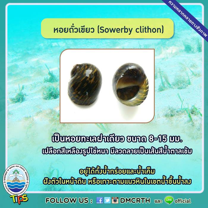 เกร็ดความรู้ ทช.