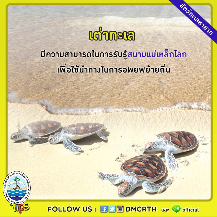 เกร็ดความรู้ ทช.