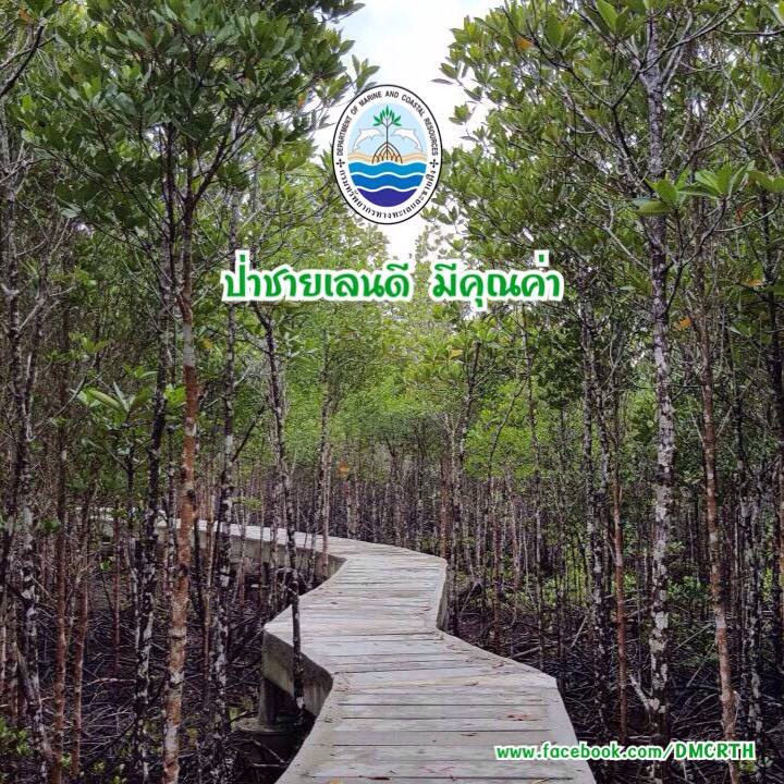 สวัสดี พี่น้องเครือข่ายรักษ์ทะเลไทย