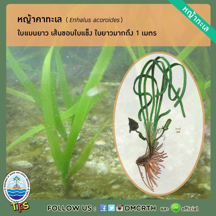 เกร็ดความรู้ ทช.