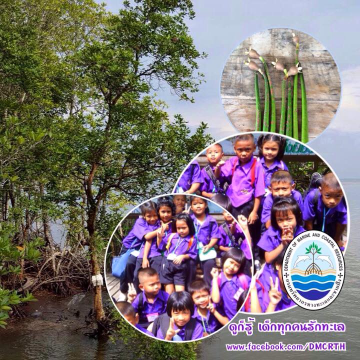 สวัสดี พี่น้องเครือข่ายรักษ์ทะเลไทย