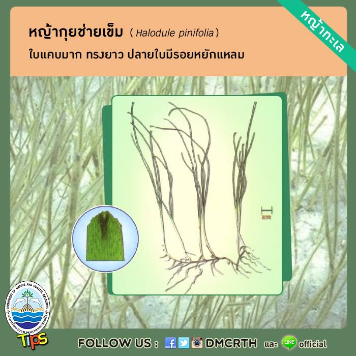 เกร็ดความรู้ ทช.