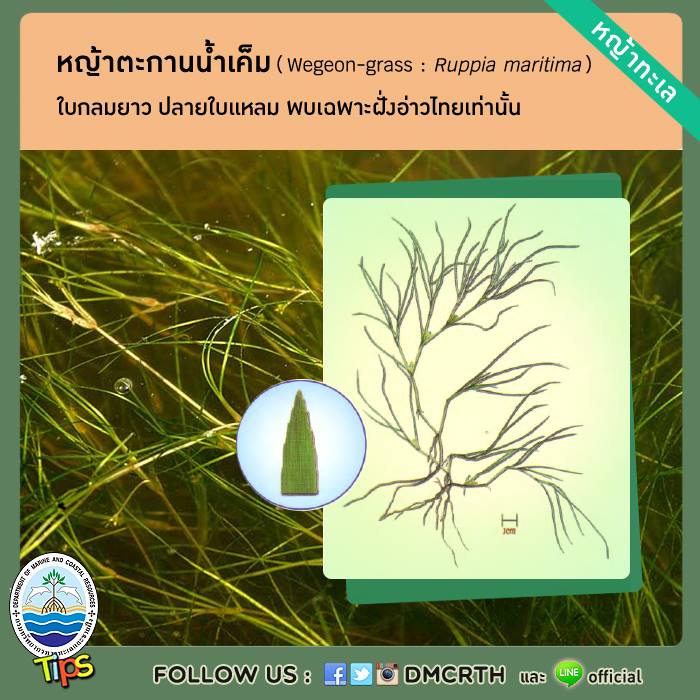 เกร็ดความรู้ ทช.