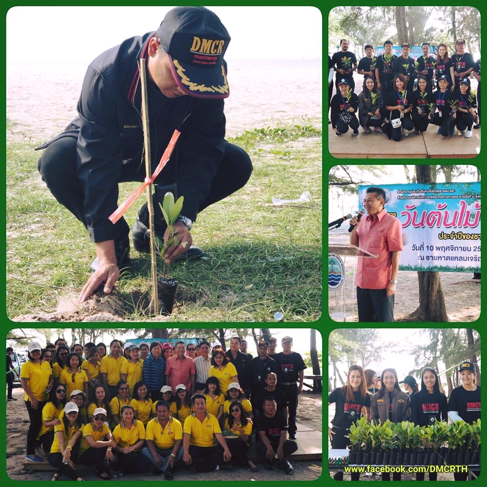 ทช. ร่วม สนง.ประกันสังคม ปลูกต้นสารภีทะเล หาดแหลมเจริญ