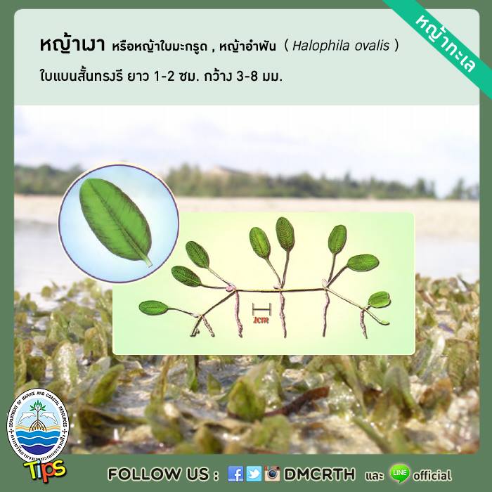 เกร็ดความรู้ ทช.