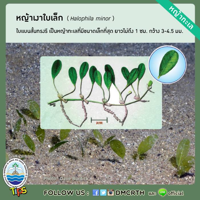 เกร็ดความรู้ ทช.