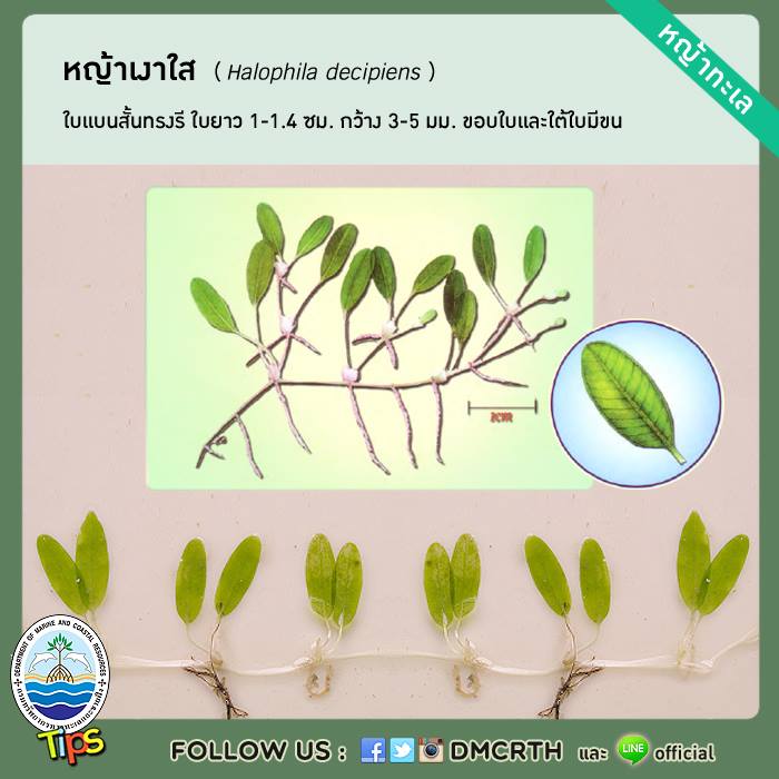 เกร็ดความรู้ ทช.