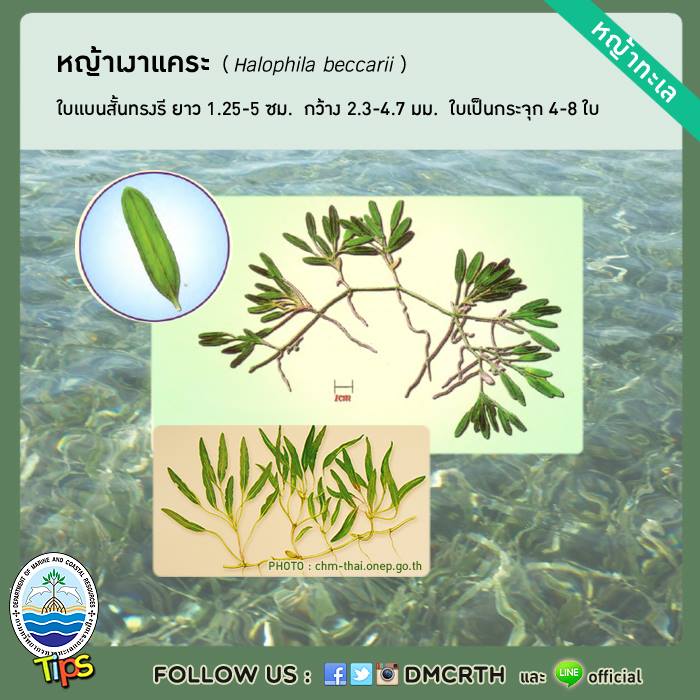 เกร็ดความรู้ ทช.